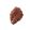 Mufloncomb cs.n.