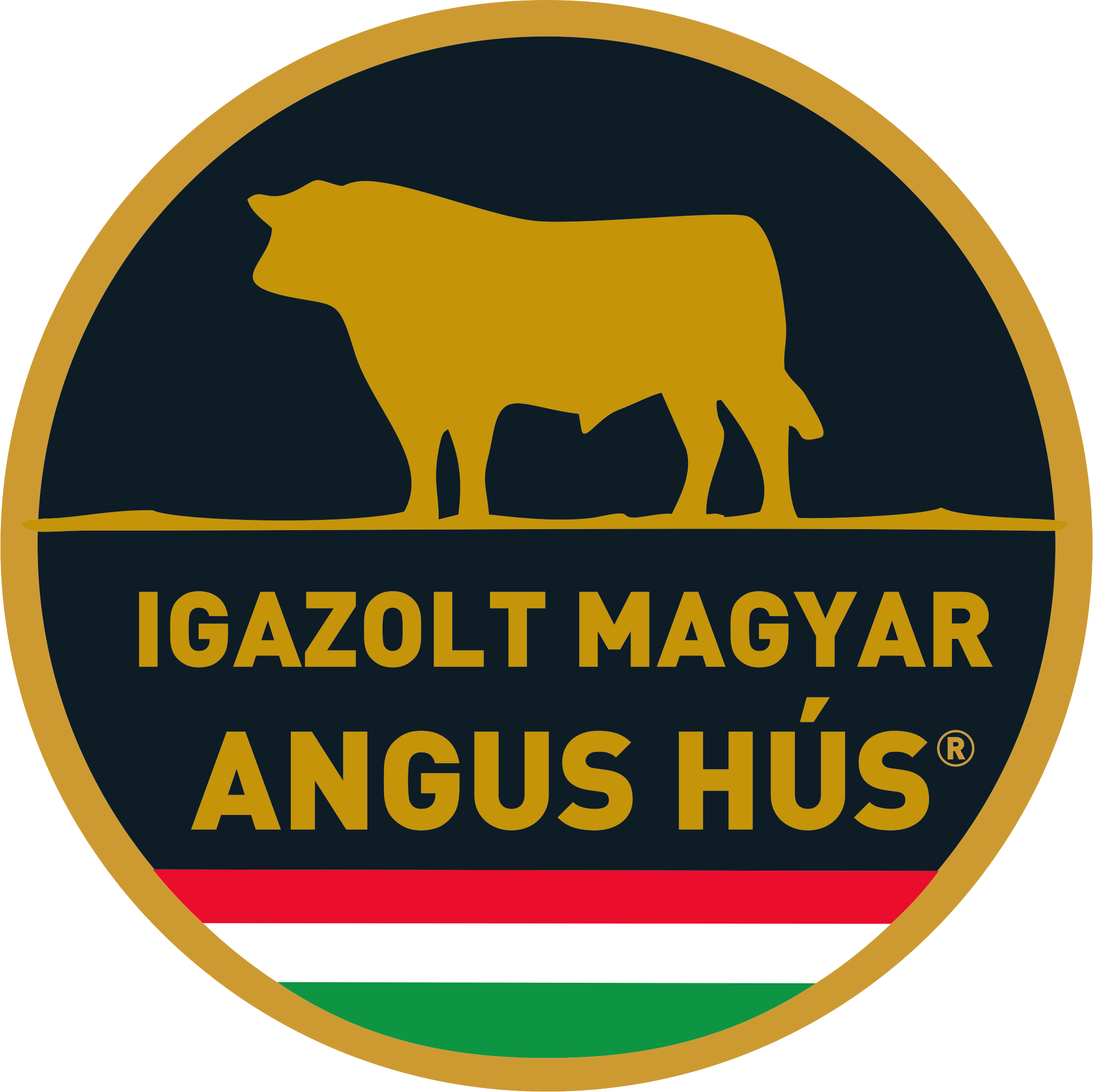 Magyar-angus.png